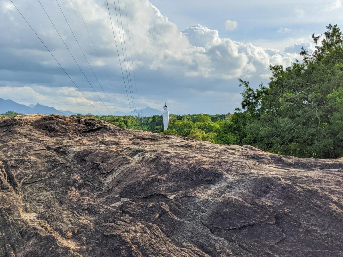 Sigiri Choona Lodge 'Unique Sunrise Viewpoint' Sigiriya Ngoại thất bức ảnh